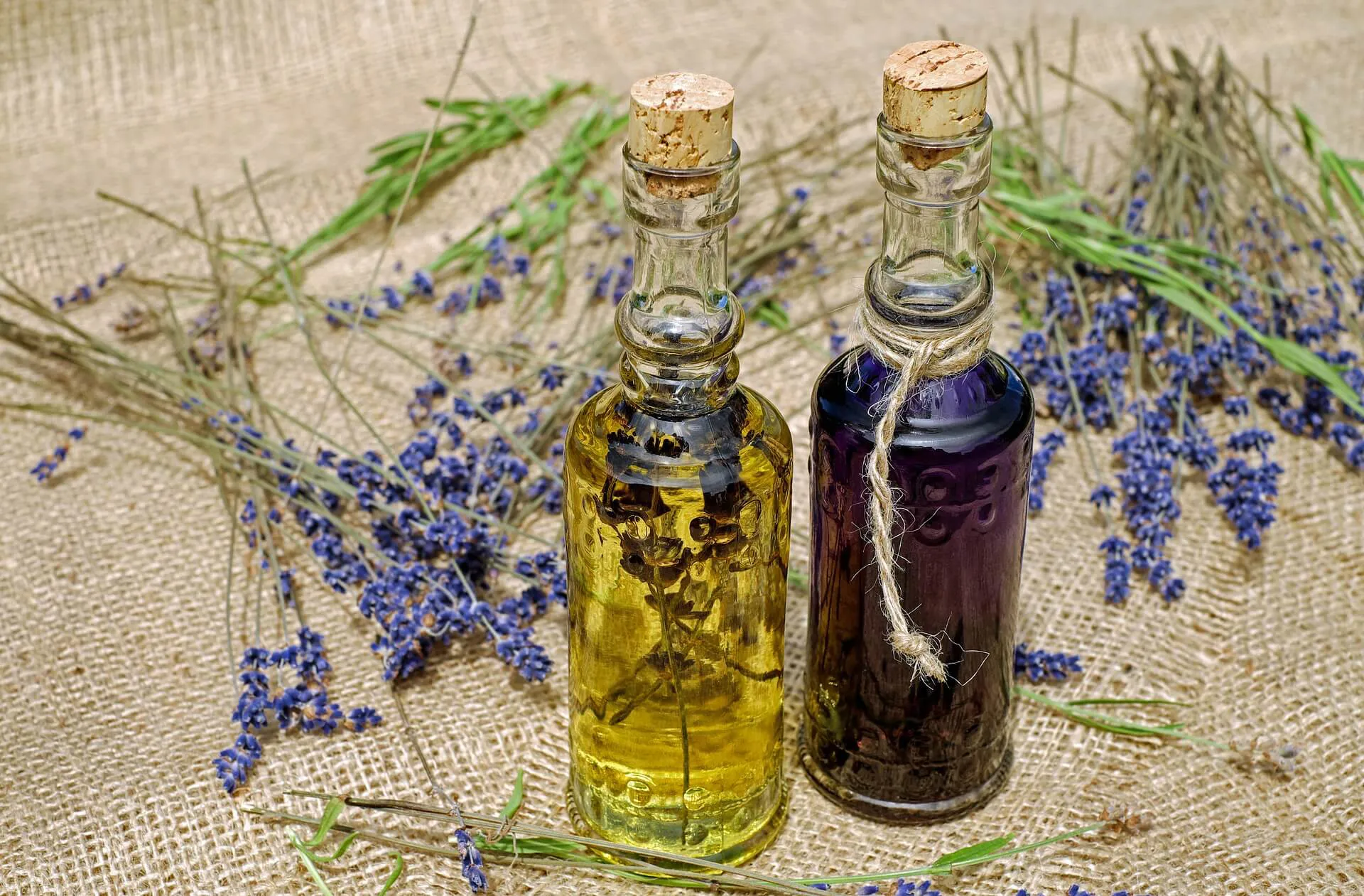 Sciroppo di lavanda di Pietrabruna: ricetta e tradizione